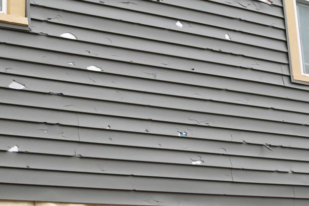 Best Siding Painting and Refinishing  in South River, NJ