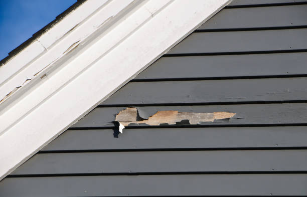 Affordable siding repair and maintenance services in South River, NJ